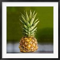 PineappleTurtle Fine Art Print