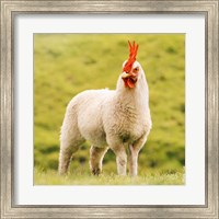 Chickensheep Fine Art Print