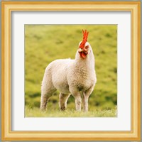 Chickensheep Fine Art Print