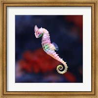 Seameleon Fine Art Print