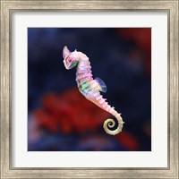 Seameleon Fine Art Print