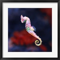 Seameleon Fine Art Print