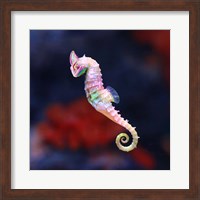 Seameleon Fine Art Print