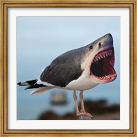 Sharkgull Fine Art Print