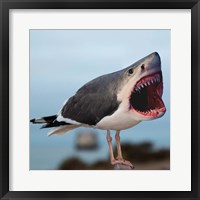 Sharkgull Fine Art Print