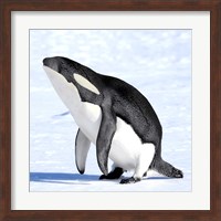Orcaguin Fine Art Print
