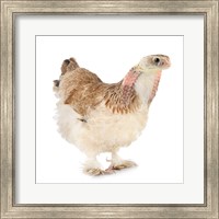 Cobrachicken Fine Art Print