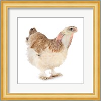 Cobrachicken Fine Art Print