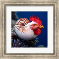 Chicken of the Sea Fine Art Print
