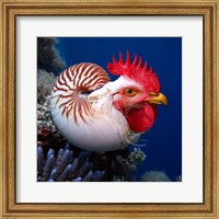 Chicken of the Sea Fine Art Print
