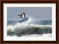 Cowpup Surfing Fine Art Print