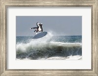 Cowpup Surfing Fine Art Print