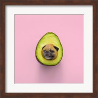 Pugacado Fine Art Print