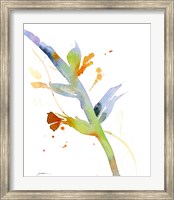 Budding Fine Art Print