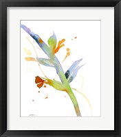 Budding Fine Art Print