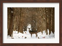 The Forest of Snow White Fine Art Print