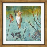 Australian Reed Warbler Fine Art Print
