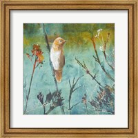 Australian Reed Warbler Fine Art Print