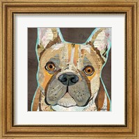 French Bulldog Fine Art Print