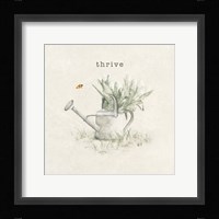 Garden Watering Can Framed Print