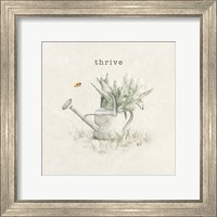 Garden Watering Can Fine Art Print