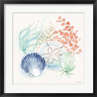 Seaside II Framed Print