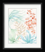Seaside IV Framed Print