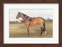 French Trotter Light Fine Art Print