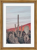 Sunsets and Saguaros II Fine Art Print