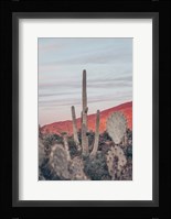 Sunsets and Saguaros II Fine Art Print