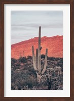 Sunsets and Saguaros I Fine Art Print