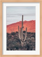 Sunsets and Saguaros I Fine Art Print