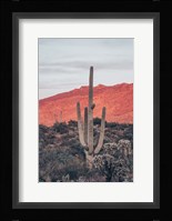 Sunsets and Saguaros I Fine Art Print