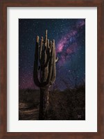 Desert Nights Fine Art Print