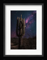 Desert Nights Fine Art Print