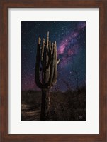 Desert Nights Fine Art Print