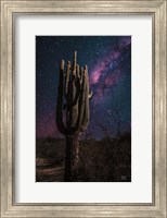 Desert Nights Fine Art Print