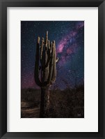 Desert Nights Framed Print