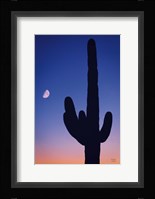 Candy Rock Desert Fine Art Print