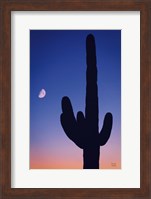 Candy Rock Desert Fine Art Print