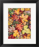 Leaves and Acorns Fine Art Print