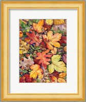 Leaves and Acorns Fine Art Print