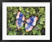 Garden Butterfly Fine Art Print