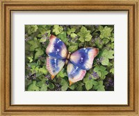 Garden Butterfly Fine Art Print