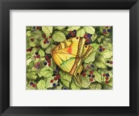 Bountiful Butterfly Fine Art Print