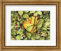 Bountiful Butterfly Fine Art Print