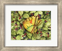 Bountiful Butterfly Fine Art Print