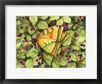 Bountiful Butterfly Fine Art Print