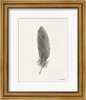 Springtime Feather II Fine Art Print