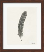 Springtime Feather I Fine Art Print